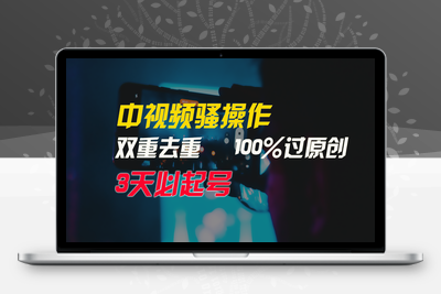 简单无脑，月入3W+中视频骚操作，双重去重100%过原创，3天比必起号，-乐享资源网