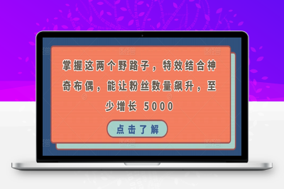 掌握这两个野路子，特效结合神奇布偶，能让粉丝数量飙升，至少增长 5000-乐享资源网