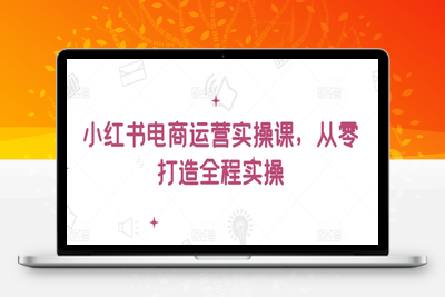 小红书电商运营实操课，​从零打造全程实操-乐享资源网