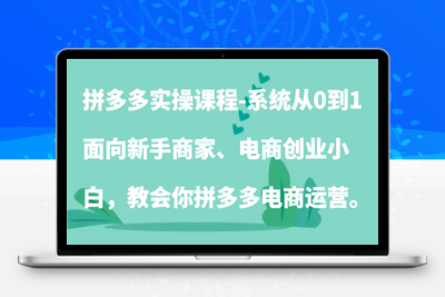 拼多多实操课程-系统从0到1，面向新手商家、电商创业小白，教会你拼多多电商运营。-乐享资源网