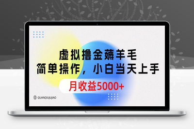 虚拟撸金薅羊毛，简单操作，小白当天上手，月收益5000+-乐享资源网