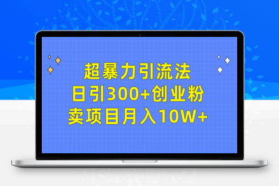 超暴力引流法，日引300+创业粉，卖项目月入10W+-乐享资源网