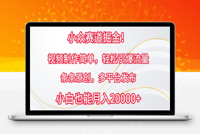 小众赛道掘金，视频制作简单，轻松引爆流量，条条原创，多平台发布【揭秘】-乐享资源网