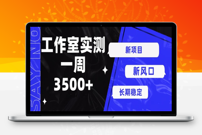 新项目新风口，单号操作7天收益3500+-乐享资源网