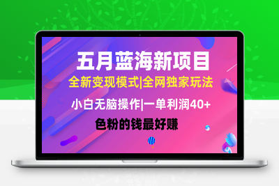 五月蓝海项目全新玩法，小白无脑操作，一天几分钟，矩阵操作，月入4万-乐享资源网