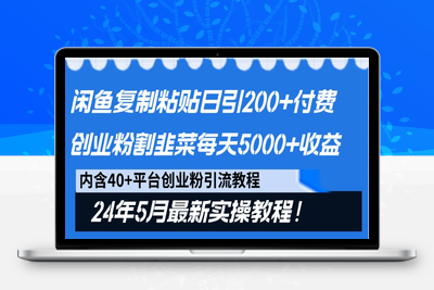 闲鱼复制粘贴日引200+付费创业粉，24年5月最新方法！割韭菜日稳定5000+收益-乐享资源网