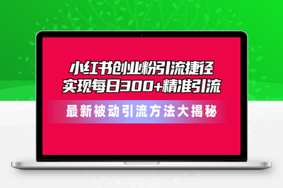 小红书创业粉引流捷径！最新被动引流方法大揭秘，实现每日300+精准引流-乐享资源网