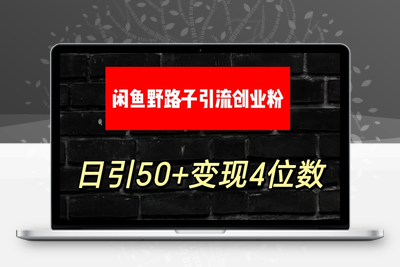 大眼闲鱼野路子引流创业粉，日引50+单日变现四位数-乐享资源网