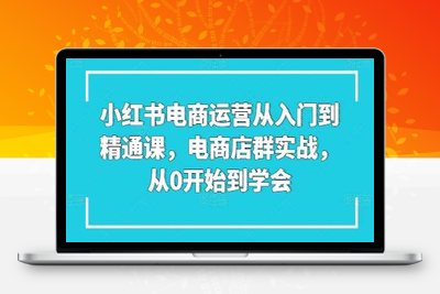 小红书电商运营从入门到精通课，电商店群实战，从0开始到学会-乐享资源网