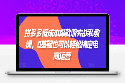 拼多多低成本爆款流实战私教课，0基础也可以轻松搞定电商运营-乐享资源网